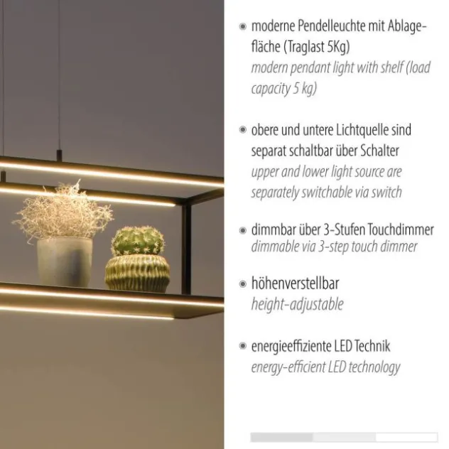 Paul Neuhaus LED Pendelleuchte CONNI schwarz, Deko Fläche