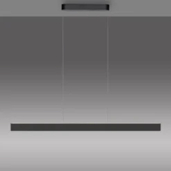 Paul Neuhaus LED Pendelleuchte Q-STRETTO, schwarz,