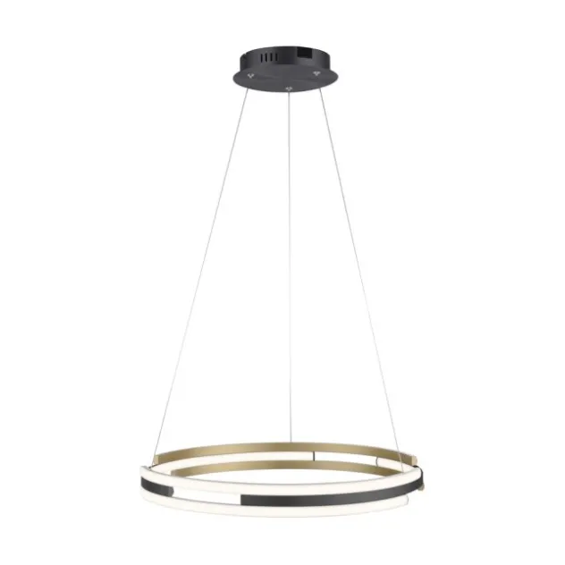 Paul Neuhaus LED Pendelleuchte Q-BELUGA messing matt Smart Home dimmbar