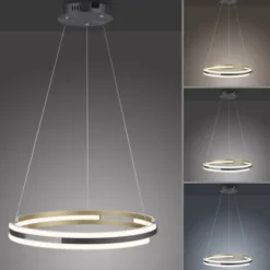 Paul Neuhaus LED Pendelleuchte Q-BELUGA messing matt Smart Home dimmbar