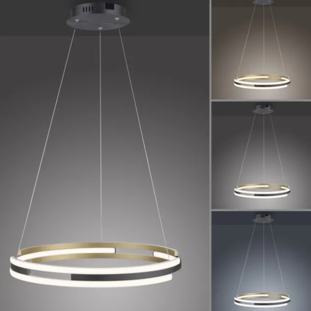 Paul Neuhaus LED Pendelleuchte Q-BELUGA messing matt Smart Home dimmbar