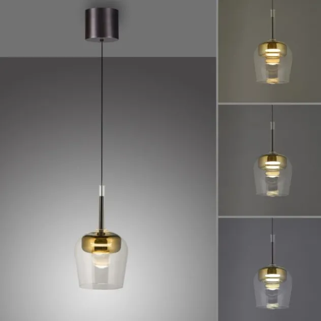 Paul Neuhaus LED Pendelleuchte Q-KON 1-flammig gold Smart Home App