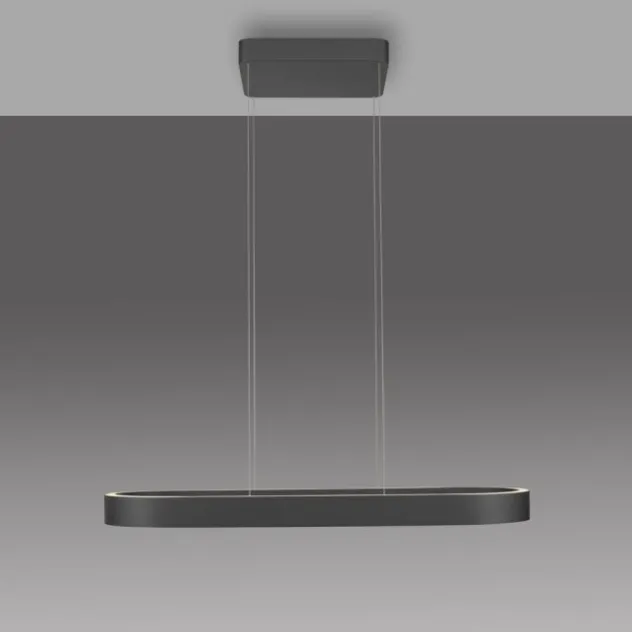 Paul Neuhaus LED Pendelleuchte Q-STRETTO, schwarz, mit Fernbedienung
