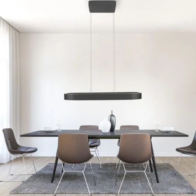 Paul Neuhaus LED Pendelleuchte Q-STRETTO, schwarz, mit Fernbedienung