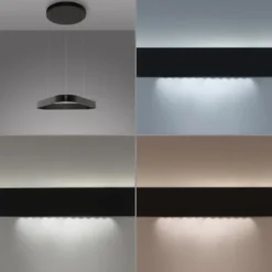 Paul Neuhaus LED Pendelleuchte Q-STRETTO, schwarz,