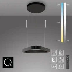 Paul Neuhaus LED Pendelleuchte Q-STRETTO, schwarz,
