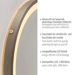 Paul Neuhaus LED Spiegel VIDRO, bronce