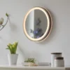Paul Neuhaus LED Spiegel VIDRO, bronce,
