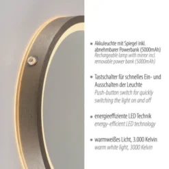 Paul Neuhaus LED Spiegel VIDRO, bronce,