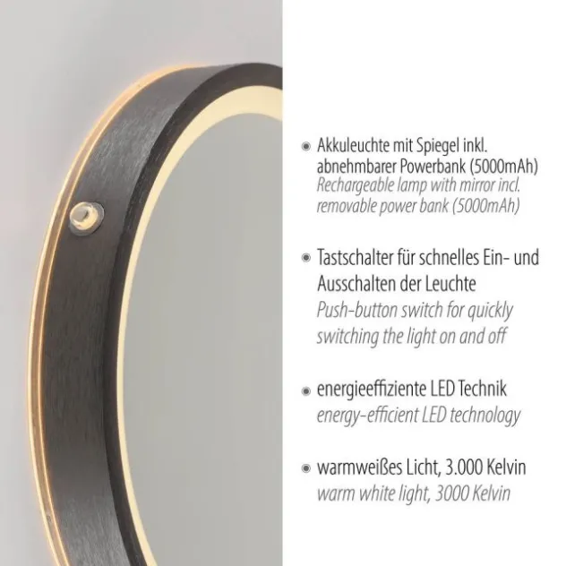 Paul Neuhaus LED Spiegel VIDRO, grau,