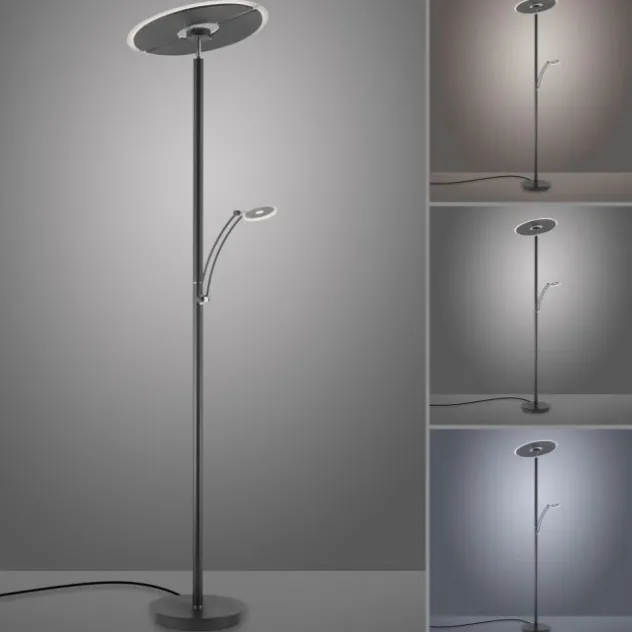 Paul Neuhaus LED Stehleuchte anthrazit dimmbar CCT Memoryfunktion