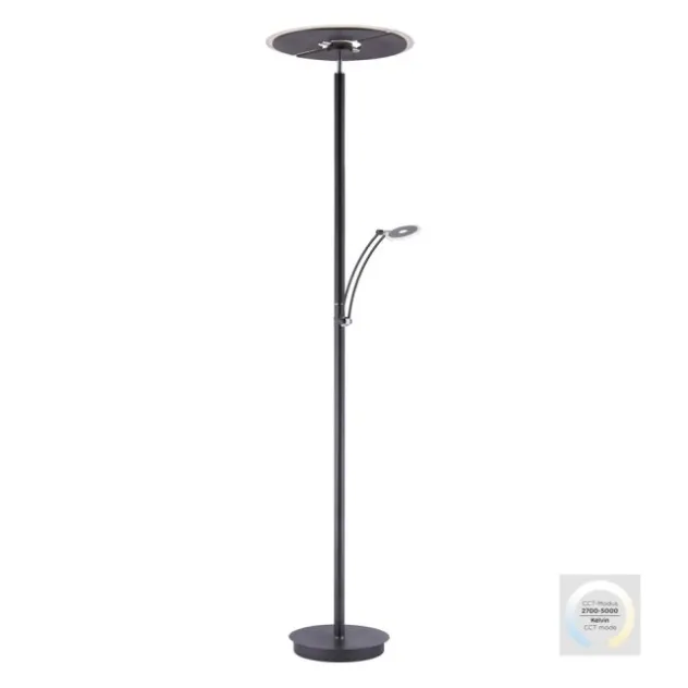 Paul Neuhaus LED Stehleuchte anthrazit dimmbar CCT Memoryfunktion