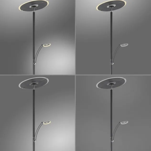 Paul Neuhaus LED Stehleuchte anthrazit dimmbar CCT Memoryfunktion