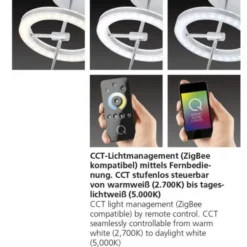 Paul Neuhaus, Q-AMY, LED-Deckenleuchte, stahlfarben, Smart Home (Auslauf)