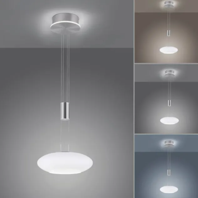 Paul Neuhaus, Q-ETIENNE, LED Pendelleuchte stahl, Smart Home