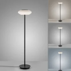Paul Neuhaus Q ETIENNE LED Stehleuchte Smart Home schwarz dimmbar CCT