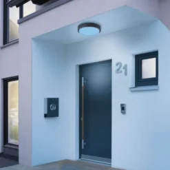 Paul Neuhaus, Q-LENNY, Außenleuchte, Deckenleuchte, RGB, dimmbar, Smart Home