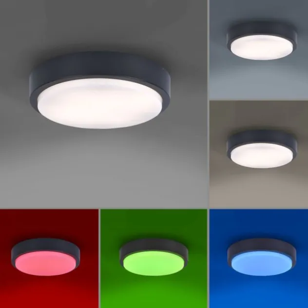 Paul Neuhaus, Q-LENNY, Außenleuchte, Deckenleuchte, RGB, dimmbar, Smart Home