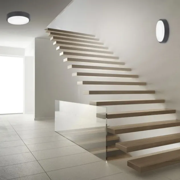 Paul Neuhaus, Q-LENNY, Außenleuchte, Deckenleuchte, RGB, dimmbar, Smart Home