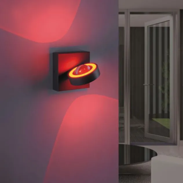 Paul Neuhaus, Q-MIA, LED-Wandleuchte, anthrazit, drehbar, modern, Smart Home