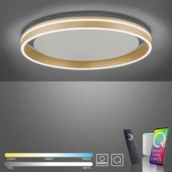 Paul Neuhaus, Q-VITO, LED Deckenleuchte, Ø59cm, Smart Home