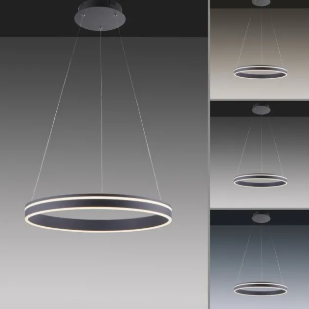 Paul Neuhaus, Q-VITO, LED-Pendelleuchte, anthrazit, Ø 59cm, dimmbar, Smart Home