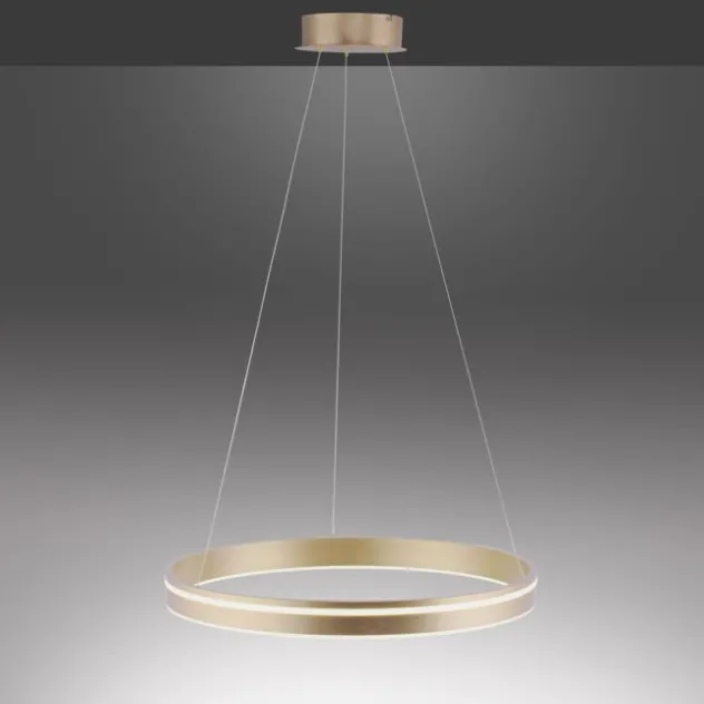 Paul Neuhaus, Q-VITO, LED Pendelleuchte, Ø59cm, Smart Home