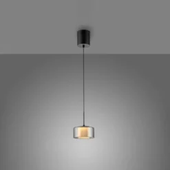 Pendelleuchte LED RIKA 1 flammig schwarz Comfort Lift Simply Dim