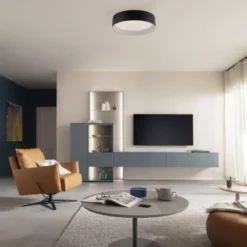Schöner Wohnen-Kollektion LED Deckenleuchte TAVOLI, schwarz, rund D=28,5cm, dimmbar, Fernbedienung