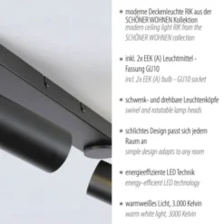 Schöner Wohnen-Kollektion LED Deckenleuchte RIK, schwarz, 2-flammig, drehbar