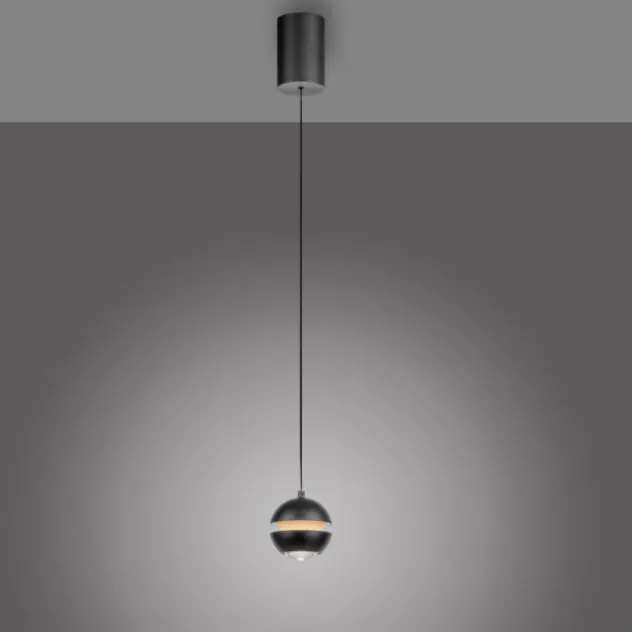 Schöner Wohnen-Kollektion LED Pendelleuchte LINI, schwarz, 1-flammig