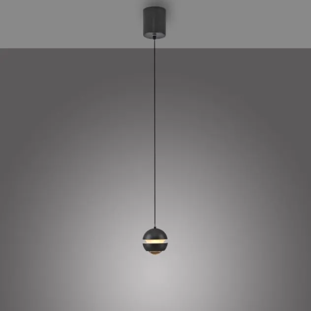 Schöner Wohnen-Kollektion LED Pendelleuchte LINI, schwarz, 1-flammig