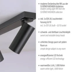 Schöner Wohnen-Kollektion LED Deckenleuchte RIK, schwarz, 3-flammig, drehbar