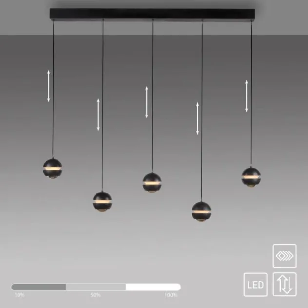 Schöner Wohnen-Kollektion LED Pendelleuchte schwarz, 5-flammig, höhenverstellbar