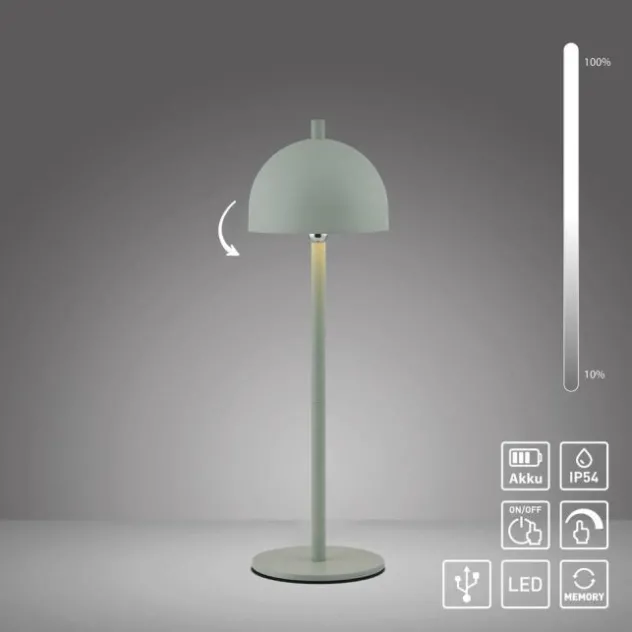 Schöner Wohnen-Kollektion LED Akku Tischleuchte BELLIES, Frühlingserwachen, aufladbar, USB-Ladekabel