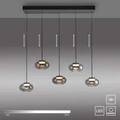 Schöner Wohnen-Kollektion Pendelleuchte SIA schwarz, 5-flammig, Rauchglas, dimmbar